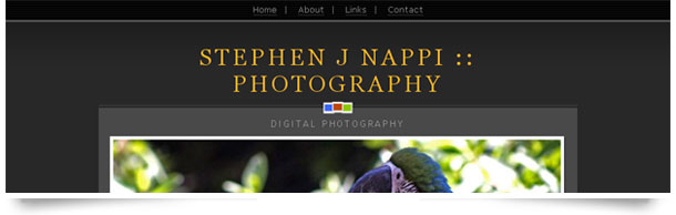 Stephen J Nappi Photography